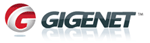 GigeNet Web Hosting Reviews